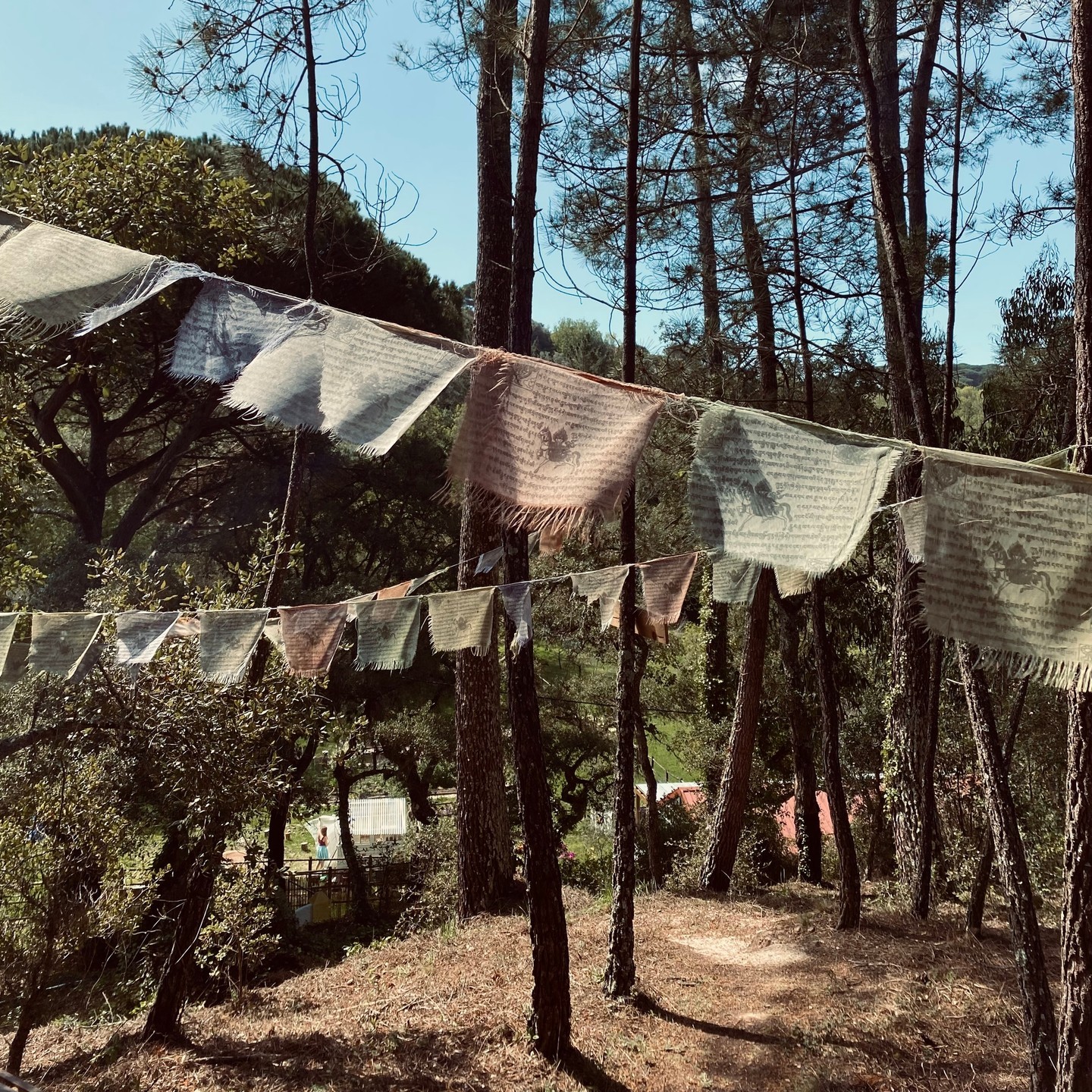 There are only a few spots left to join me in September at this beautiful yoga deck in Portugal for our 'Still Mind, Wild Heart' retreat. 🙏🏼⁠
⁠
Are you keen to meet likeminded women, immerse yourself in feminine energy, practice yoga, meditation & journaling on the daily and enjoy the September sunshine? 🌞⁠
⁠
Check the link in my bio (and the highlight on my profile!) for all the details on our Portugal retreat, taking place from 7 to 11 September. You still have the choice between private or shared accommodation and I'm here if you have any questions! 🧡⁠
⁠
It would be an honour (and SO FUN!) to hold space for you and meet you there! x